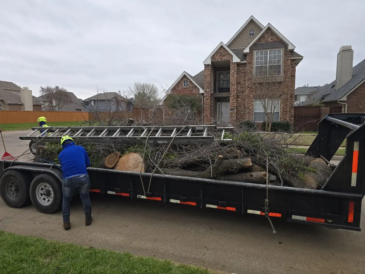 Expert Tree Fertilization with proper safety equipment in Pineland
